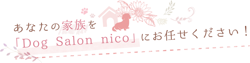 あなたの家族を「Dog Salon nico」にお任せください！